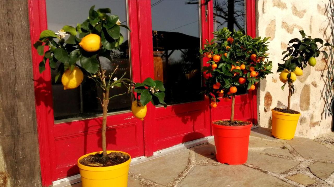 Montrollet La Grange Ancienne Bed & Breakfast エクステリア 写真